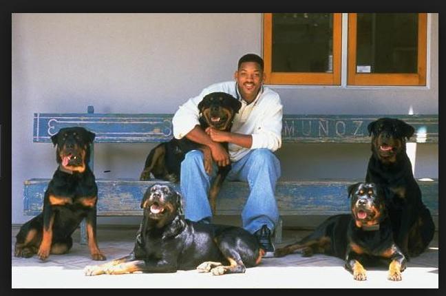 Will Smith