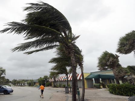 Palm trees sway in high gusts of wind, Thursday, Oct. 6, 2016, in Vero Beach, Fla. Hurricane Matthew continues to make a path for Florida's east coast from the Bahamas. (AP Photo/Lynne Sladky)
