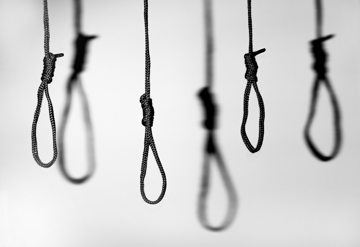 Close-Up Of Noses Hanging Against Wall