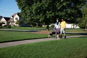 Young couple walking dogs
