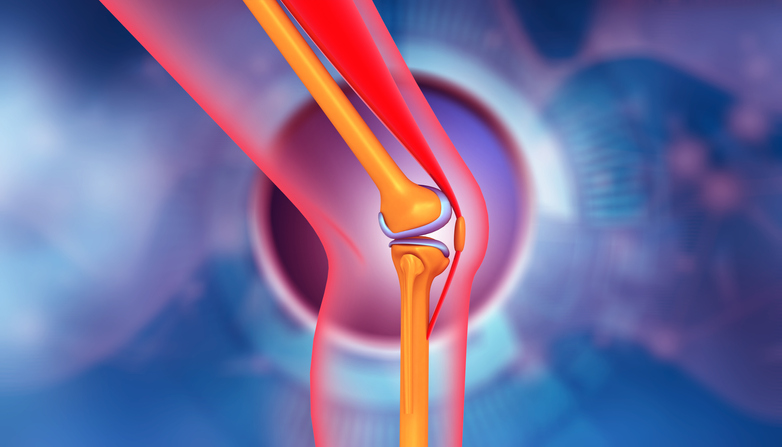Human knee anatomy on scientific background