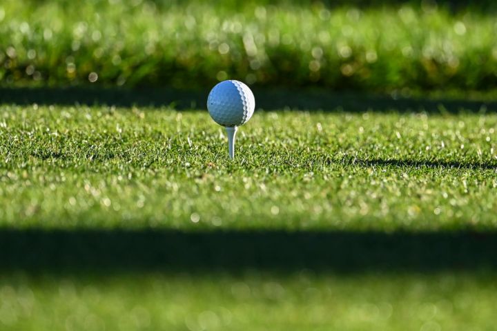 Golf Tees